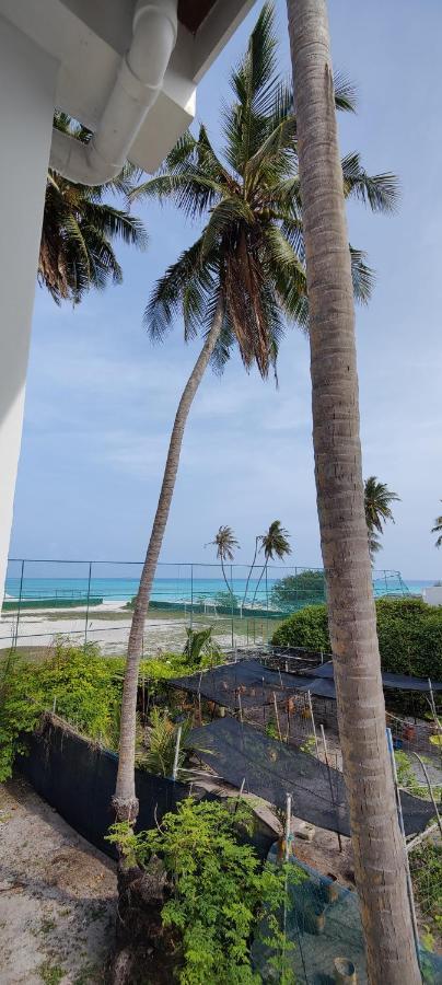 Cowry Inn Fulidhoo Dış mekan fotoğraf